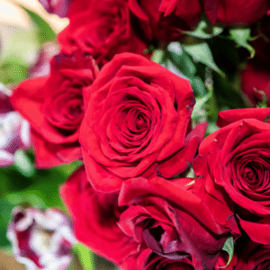 Valentine's Day