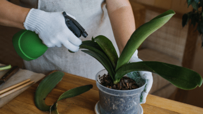 Organic gardening store
