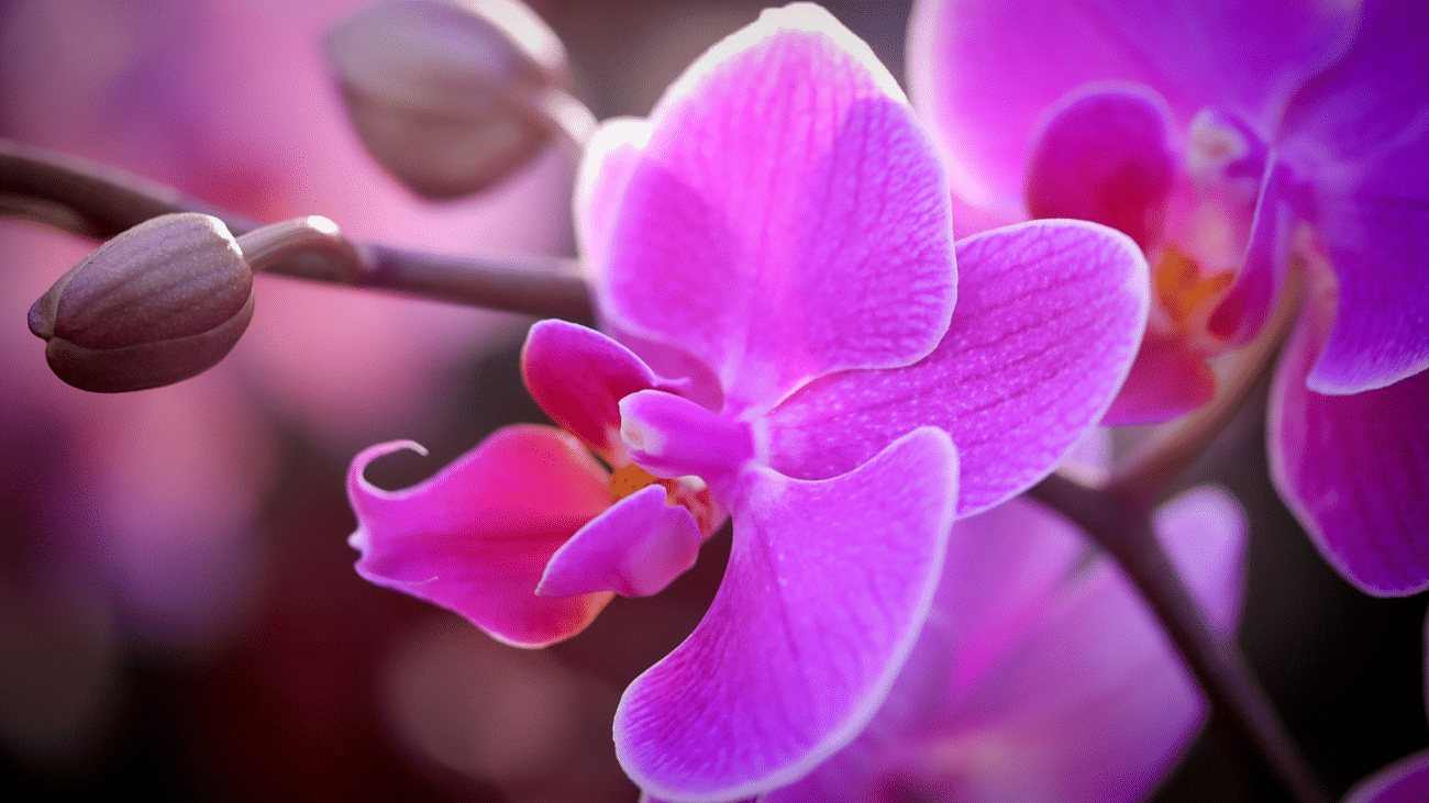 Eco-friendly gardening products