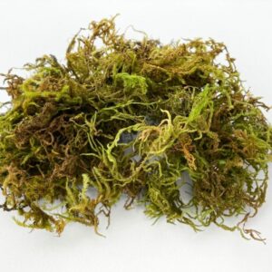 Natural Dry Moss in 80g pack for terrariums, soil blends, and decorative topdressing.