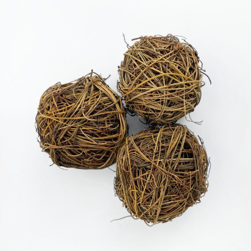 Natural Dodder Balls Natural Dodder Balls soaking to form flexible natural twine for gardening and creative projects.