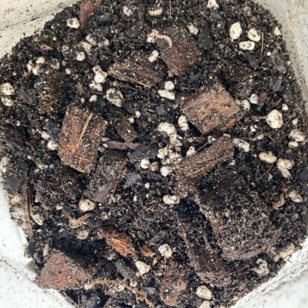 Premium Aroid Mix 2L - Image 2