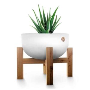 Donavan William upcycled swimmingpool pump planters - Reconditioned for the modern home.