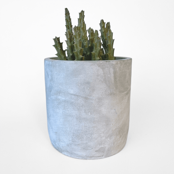 Concrete cover pots in white and grey, 10cm minimalist