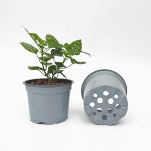 thermoformed pots 12cm light grey 0.7L volume, with drainage holes. Bundle of 100 plastic pots for gardening and nursery use.
