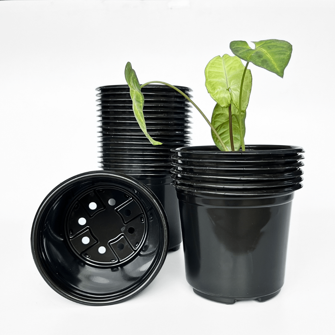 25 Black thermoformed round plastic pots with drainage holes, available in bulk packs of 100.