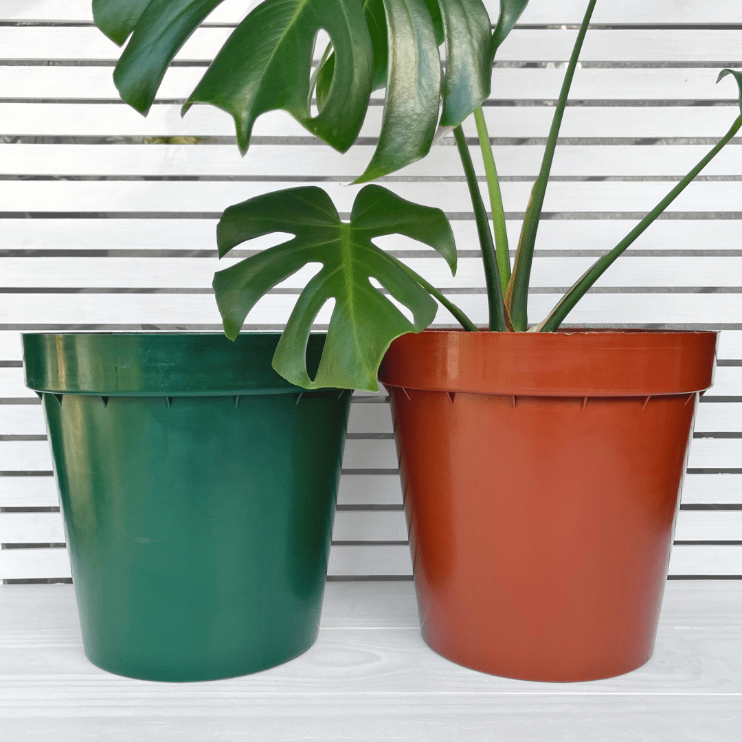 Rigid Round Pot – 30cm 30cm Rigid Round Pot with drainage holes, available in black, green, terracotta, and white.