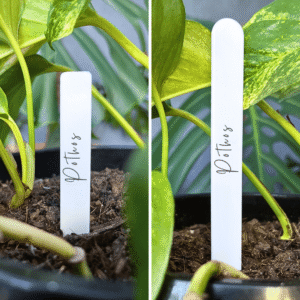 White plastic plant labels in 100mm and 150mm sizes for garden and nursery use.