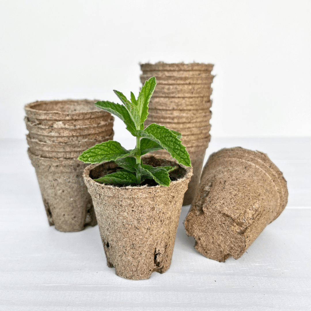 Round Jiffy Pots Biodegradable Round biodegradable Jiffy Pots for seed starting, propagation, and eco-friendly transplanting.