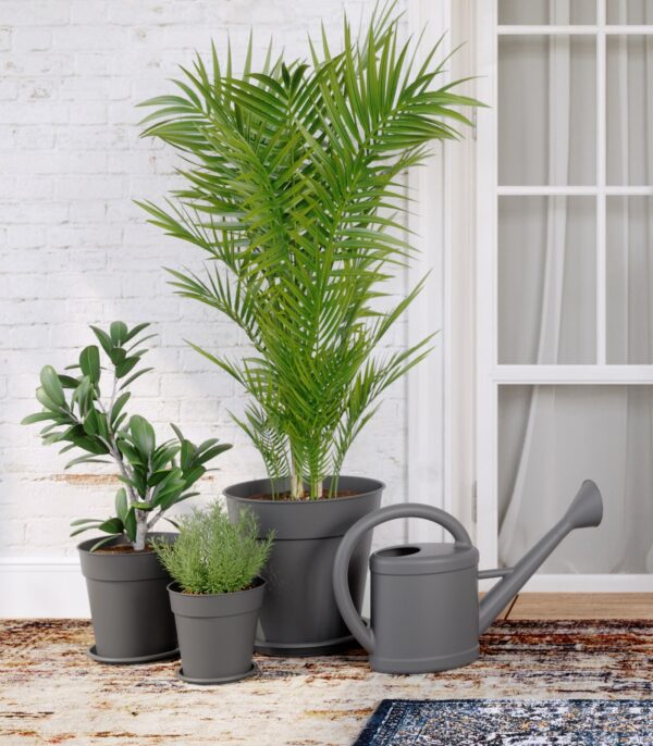 watering
