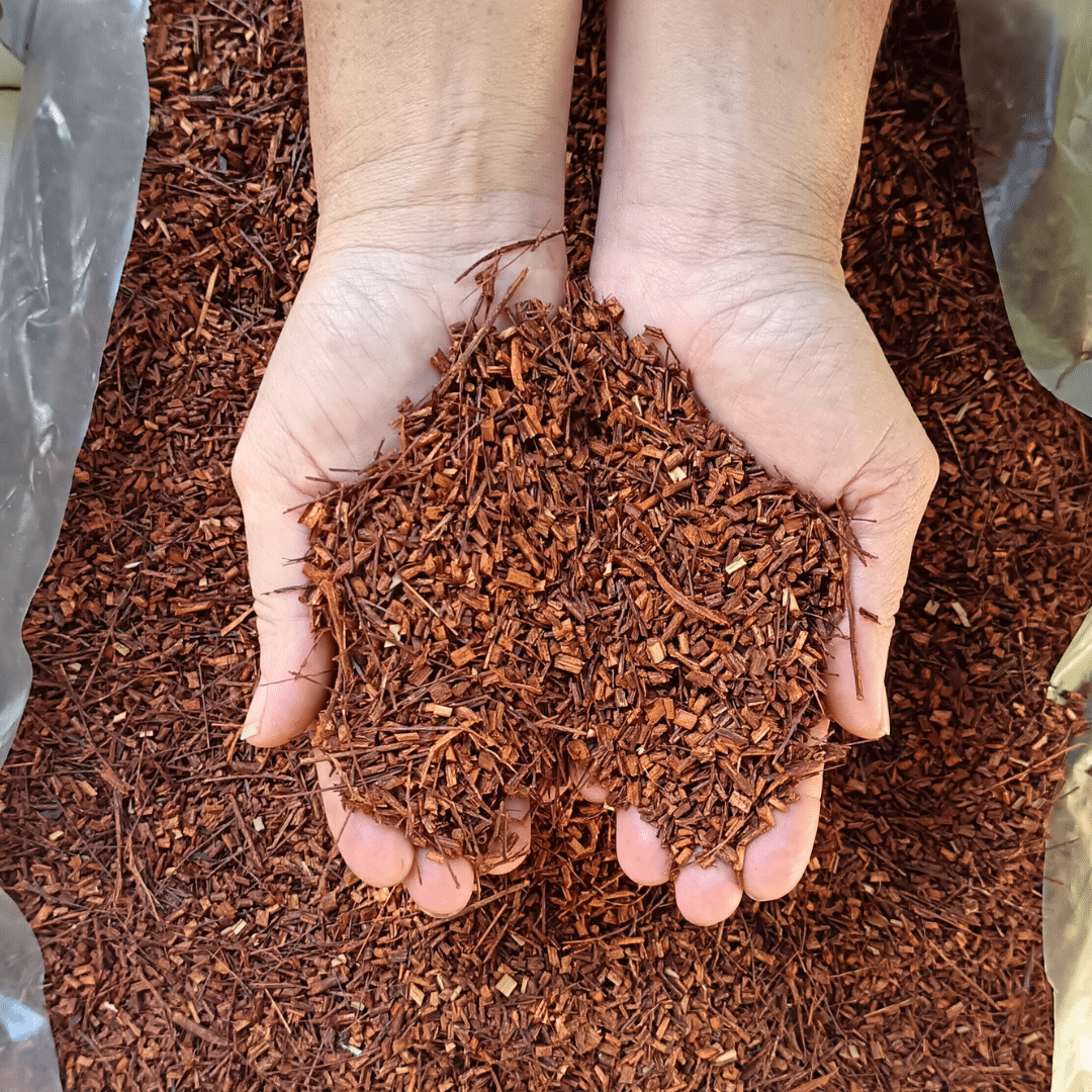 RBM Rooibos Mulch Rooibos mulch