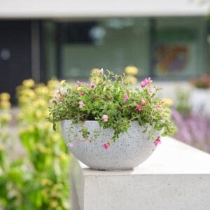 Terrhub Marketplace - Leafland - CeraMix Bowl Nova Terrazzo White D35 H17 LS