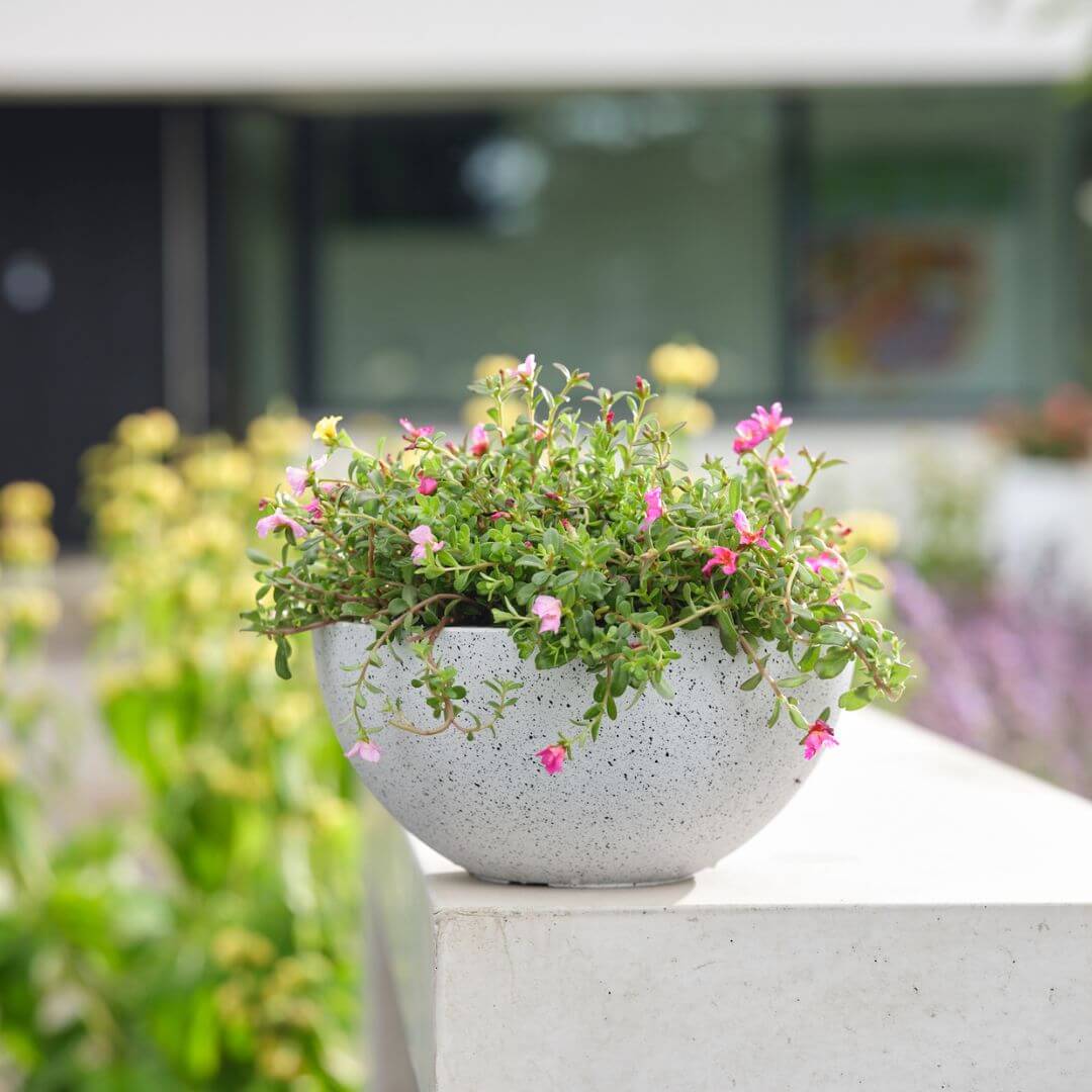 T_O_P0357 - Bowl Nova Terrazzo White D35 H17-LS Terrhub Marketplace - Leafland - CeraMix Bowl Nova Terrazzo White D35 H17 LS