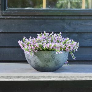 CeraMix Bowl Nova Concrete Grey recycled planter 35cm wide 17cm high with built-in drainage