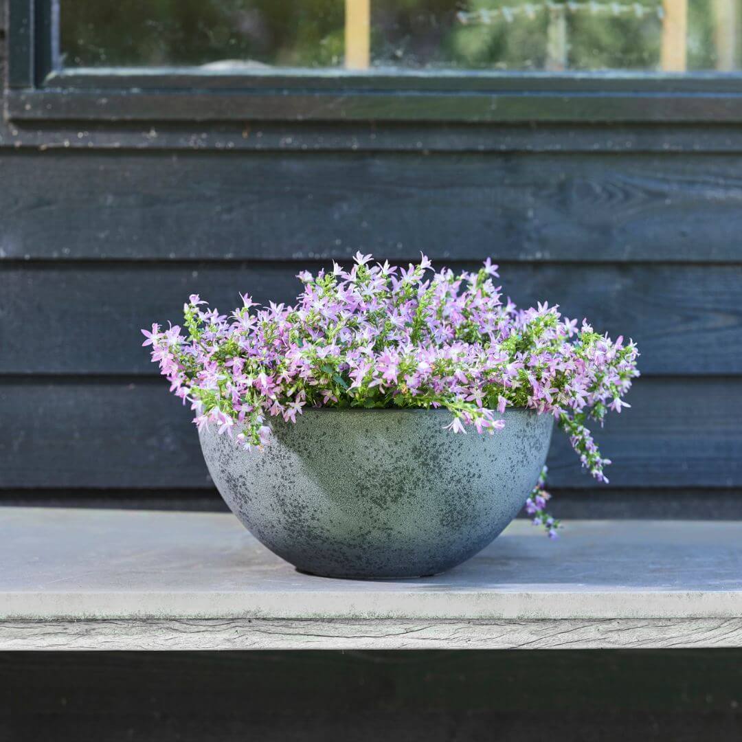 CeraMix Bowl Nova Concrete Grey | Sustainable Recycled Design | Ideal for Indoor & Outdoor Use CeraMix Bowl Nova Concrete Grey recycled planter 35cm wide 17cm high with built-in drainage