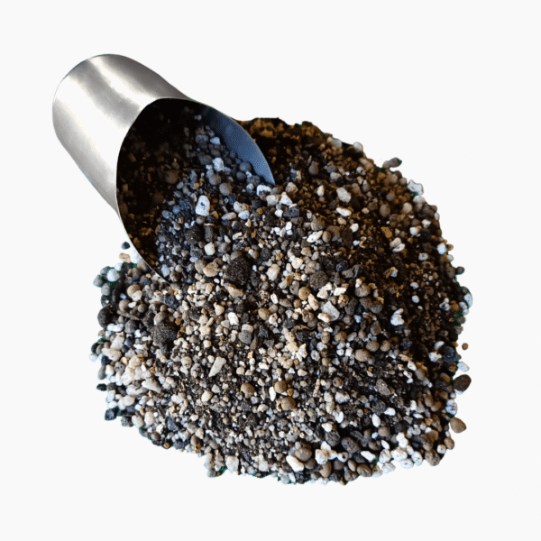 Premium Cactus Soil