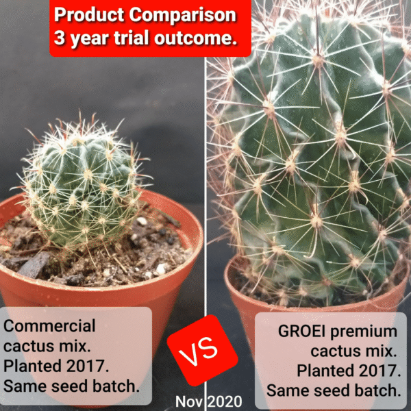 Cactus Soil