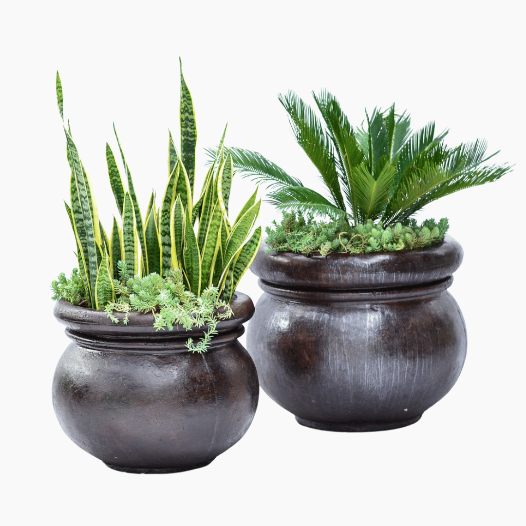 Vivaldi Fibre Cement Round Pot Vivaldi Fibre Cement Pot Round – classic style, available in multiple finishes and colours for indoor and outdoor plant décor.
