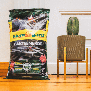 Cactus Potting Soil 5L – specialised soil for cacti and succulents.