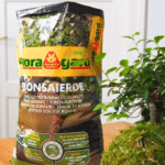 Floragard Bonsai Soil