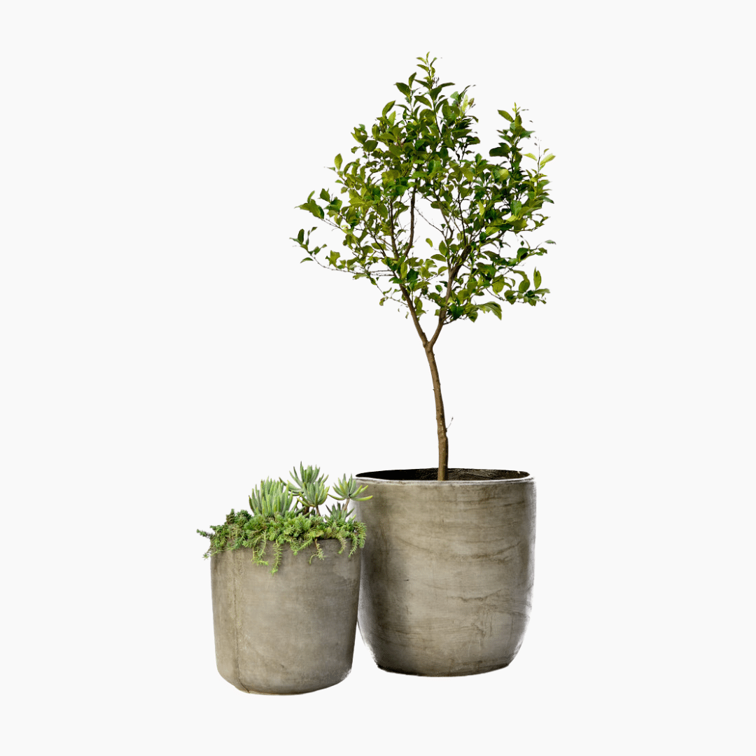 Masana Fibre Cement Pot | Large Round Masana Fibre Cement Pot Round in Classic Rust and Elegant Charcoal finishes. Stylish, durable planter for indoor and outdoor use.