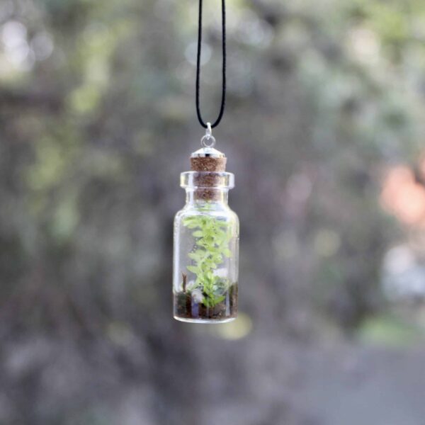 Terrarium Necklaces Short - Image 3