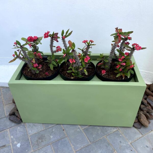 Boston Fibreglass Planter - Durable Indoor & Patio Plant Pot - Image 3