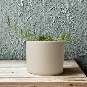 Ruby Resin Planter