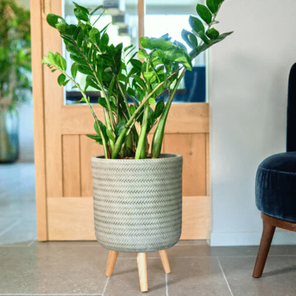 Fenne woven planter on legs in dry green and black, handcrafted from sustainable materials for indoor use