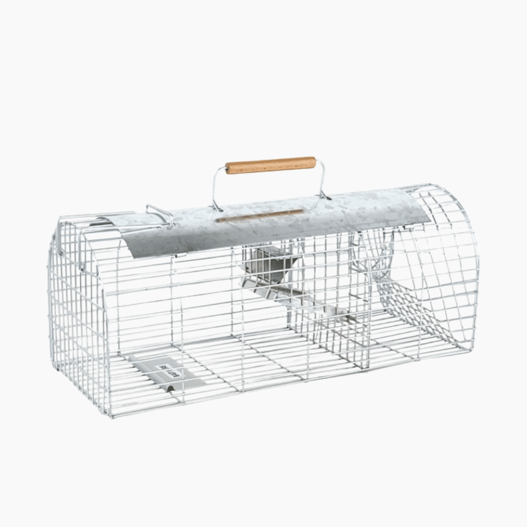 5 Multi-Catch and Release Rat Trap with dual entry points, shown placed in a garden area for humane rodent control.