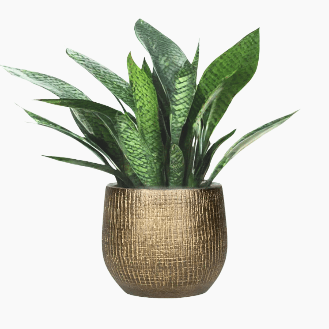 5 Ryan Shiny Gold Pot - Handmade Portuguese Ceramic Planter