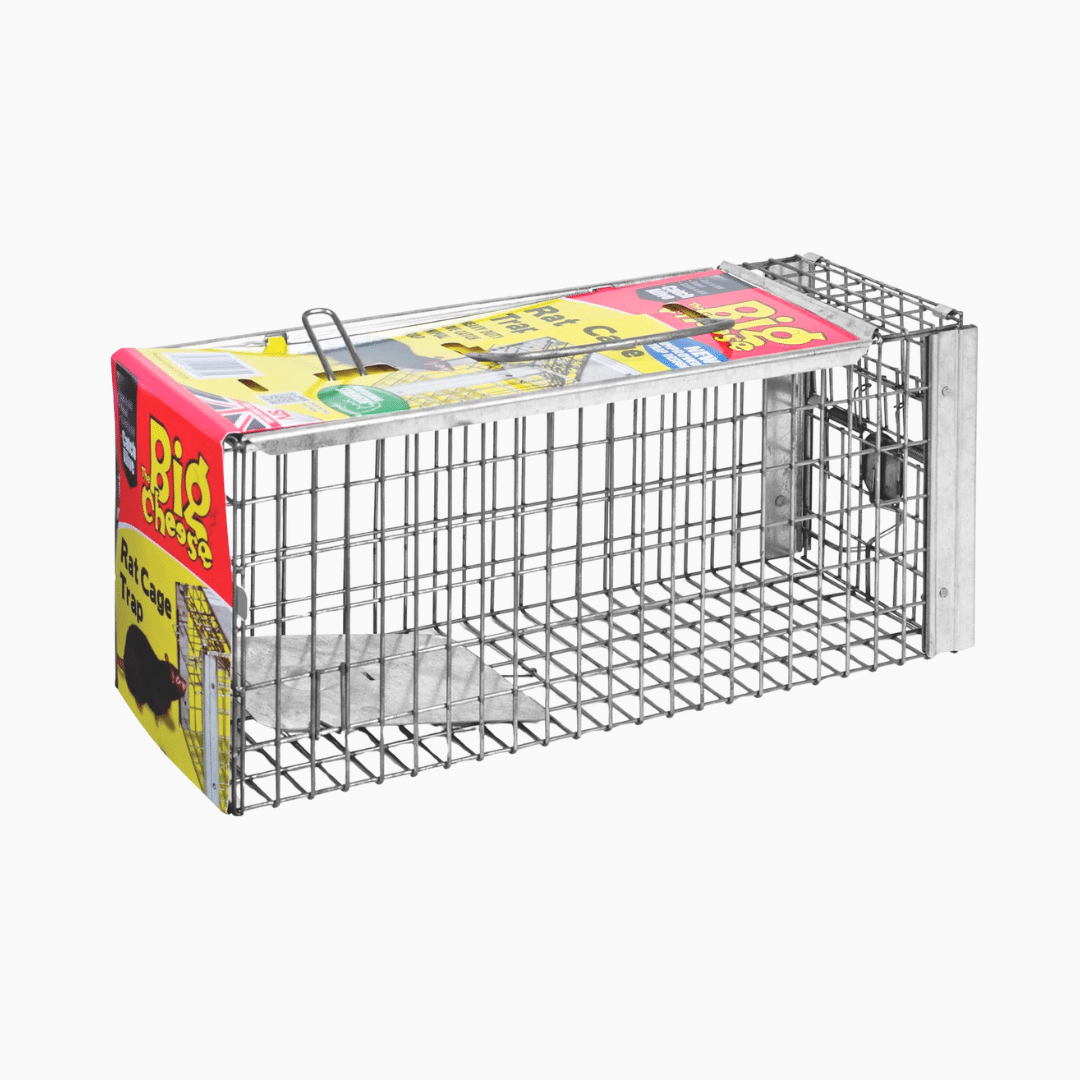 Rat cage trap Metal rat cage trap with spring-loaded door for safe and humane rodent capture