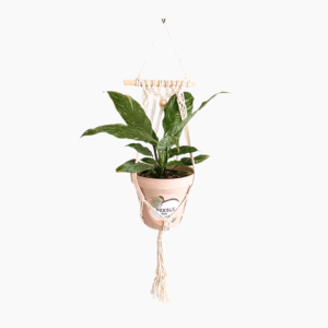 White 45cm macramé plant hanger with plain knot design for small to medium pots.