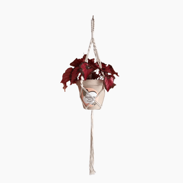60cm Plated White Macramé Plant Hanger | Handcrafted Indoor Display | Ideal for Hanging Plants - Image 9