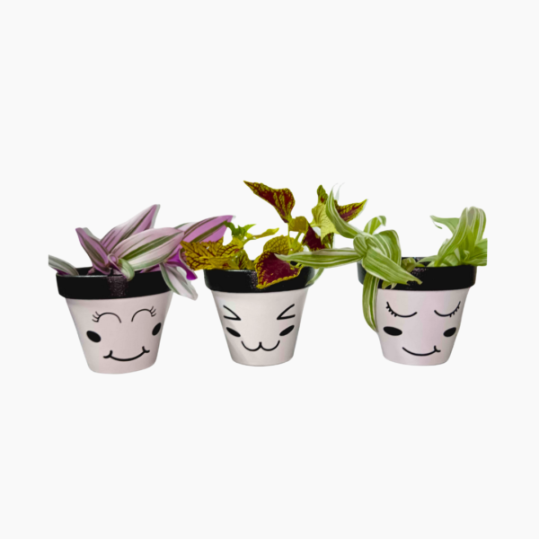 12cm hand-painted terracotta pots, Demure.