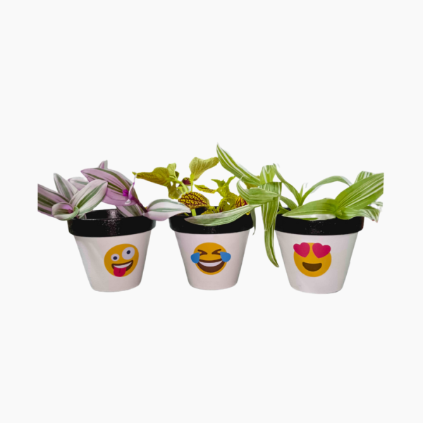 12cm hand-painted terracotta pots, Emoji