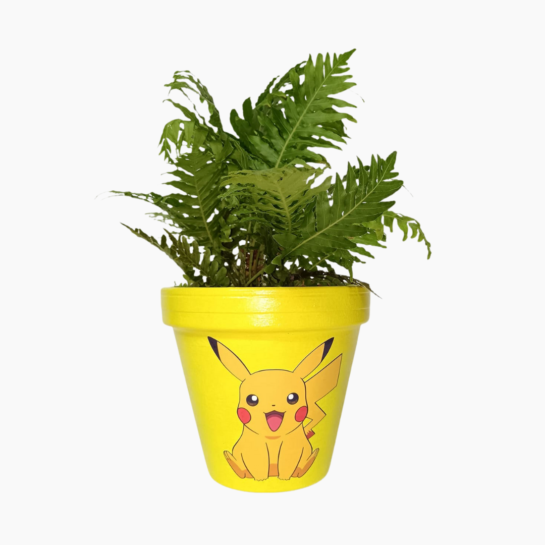 PokePots 1 PokePot hand-painted terracotta planter inspired by Pokémon characters.