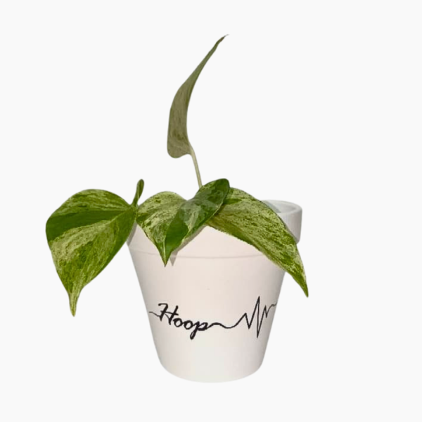 12cm hand-painted terracotta pots Geloof Hoop Liefde,