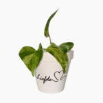 12cm hand-painted terracotta pots Geloof Hoop Liefde,