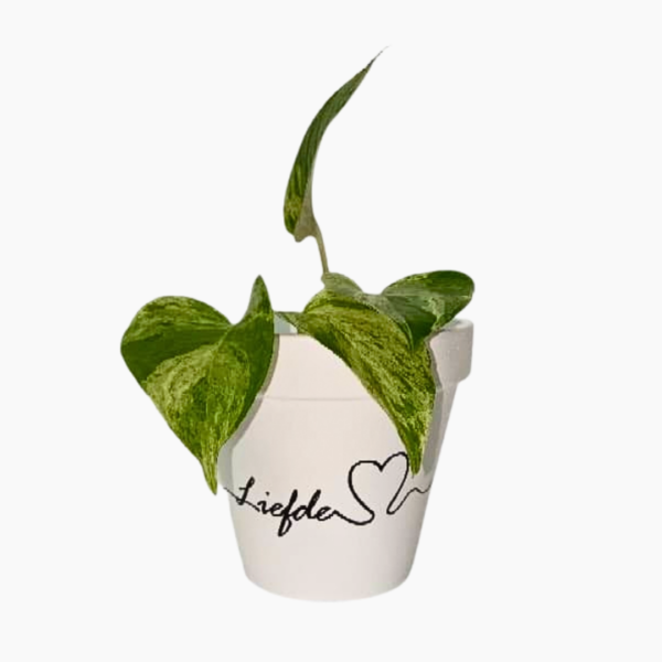 12cm hand-painted terracotta pots Geloof Hoop Liefde,
