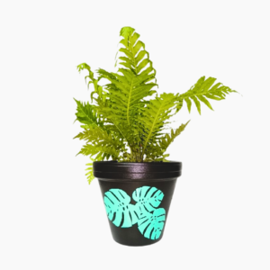 Monstera Leaves Hand-Painted Terracotta Pot