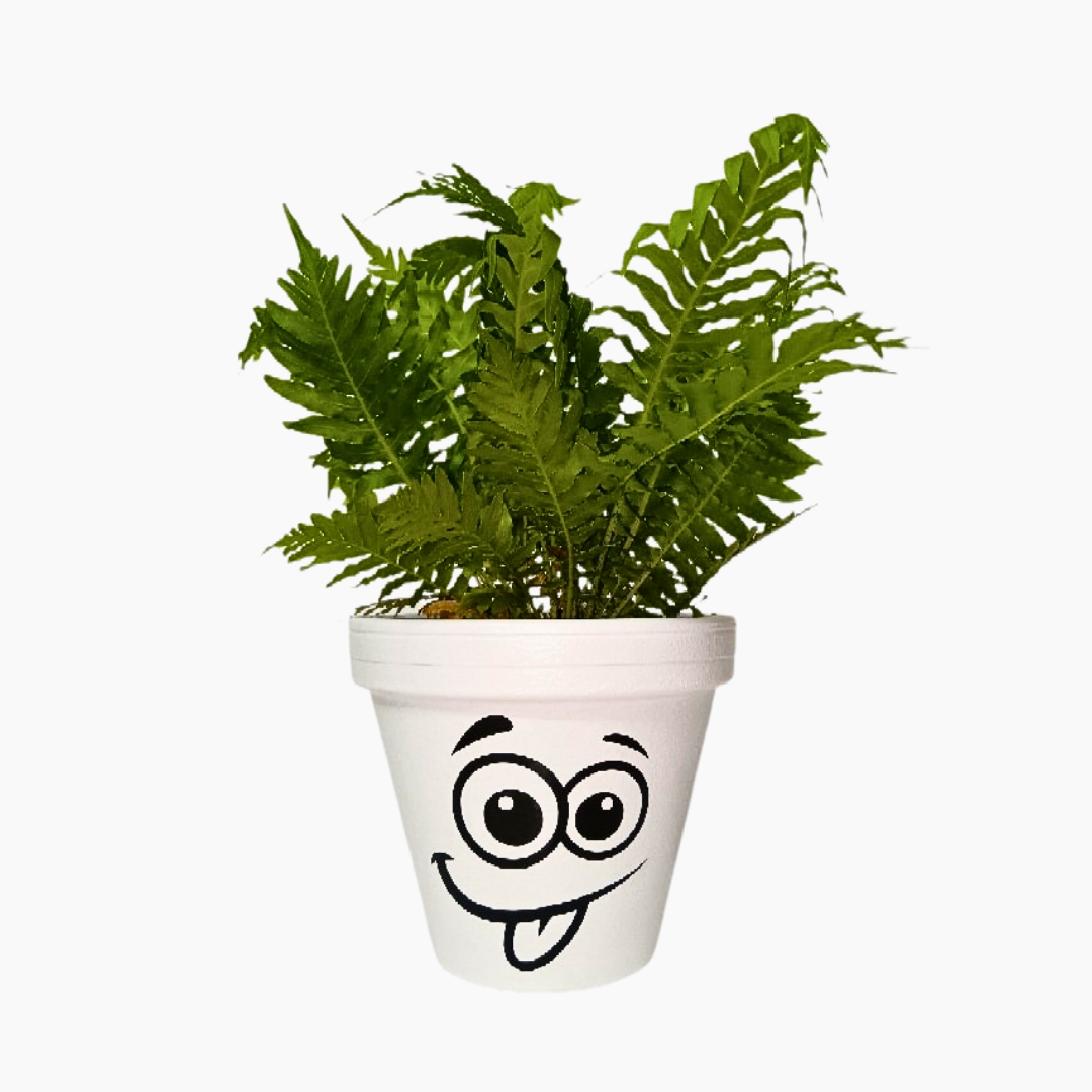 Smiley Hand-Painted Terracotta Pot Smiley hand-painted terracotta pot in 15cm and 18cm sizes.