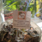 Transparent plant supports guiding upright growth of indoor plants.