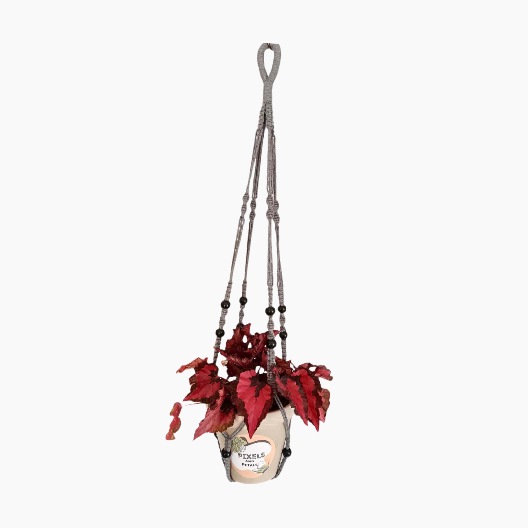 90cm Silver Grey Macrame (1) 90cm silver/grey macramé plant hanger with decorative woven design.