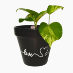 12cm hand-painted terracotta pots, Faith Hope Love,