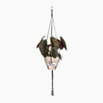 1.2m Macramé Plant Hanger in black or white with plain knot design.