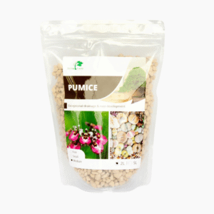 Japanese Hyuga Pumice medium 5–8mm particles in natural off-white tones