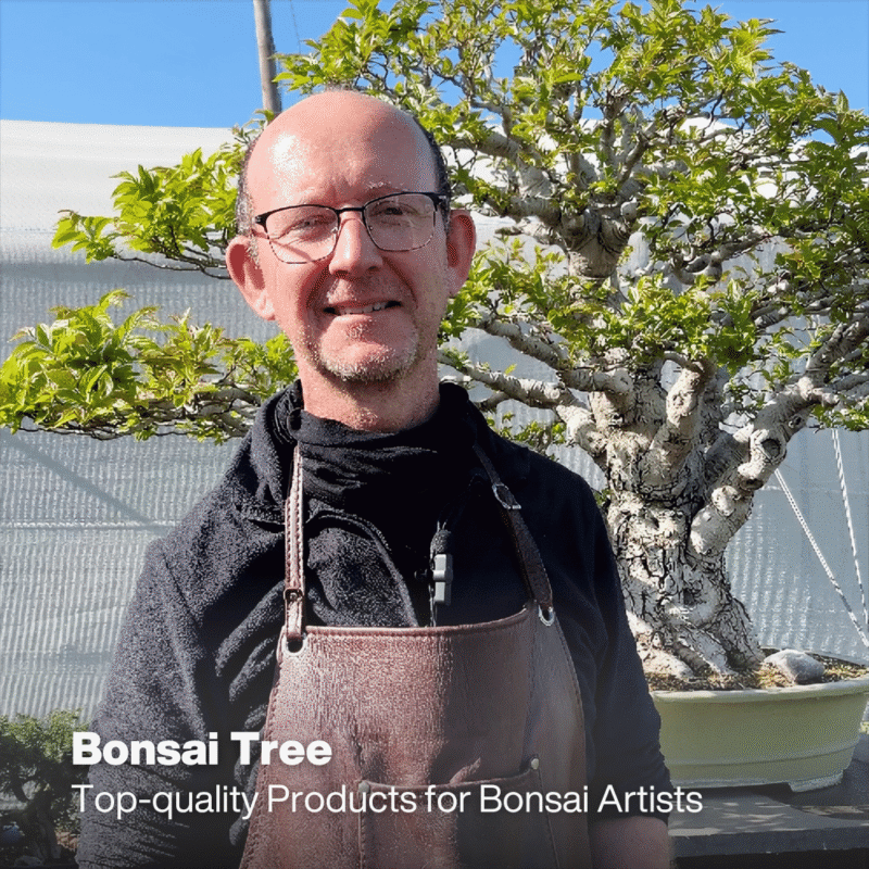 Bonsai Tree _ Top-quality products for bonsai artists