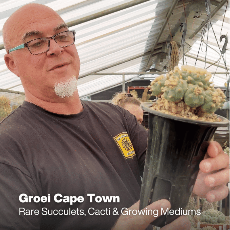 Groei Cape Town _ Rare Succulets and Cacti. Growing Mediums