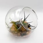 Glass globe